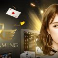 大老爺娛樂城樂,DG保險百家樂,保險百家樂,DG真人,Dream Gaming